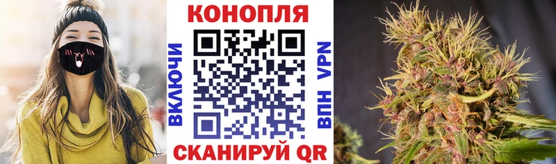Купить наркоту Дорогобуж ГАШИШ Галлюциногенные грибы Меф мяу мяу АМФЕТАМИН МЕТАМФЕТАМИН Alpha-PVP Канабис