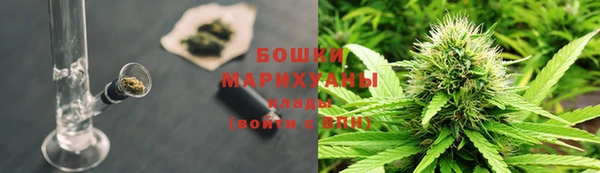 МДПВ Бронницы