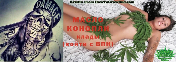 дмт Богданович