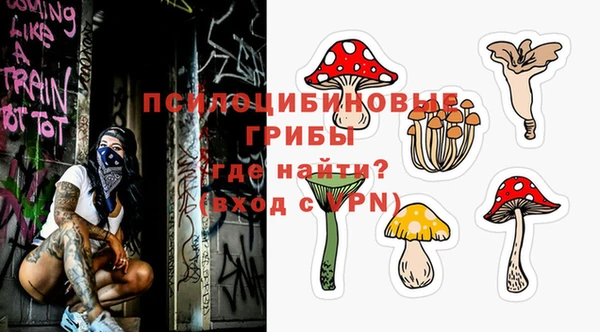 МДПВ Бронницы