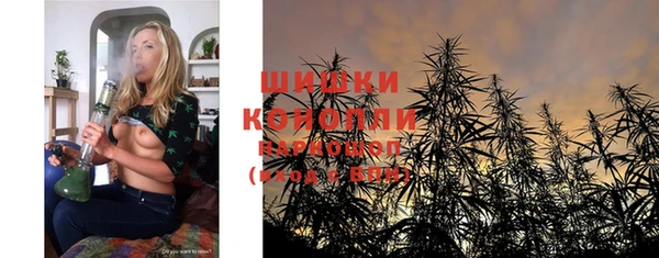 дмт Богданович