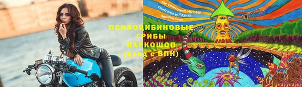 дмт Богданович
