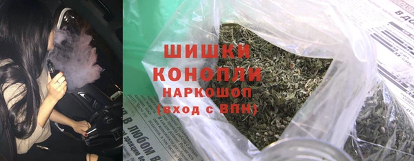 дмт Богданович